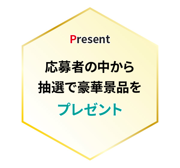 応募者の中から抽選で豪華景品をプレゼント